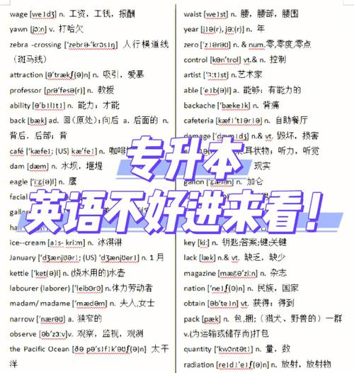 專升本英語需要多少詞匯量？3800個足夠嗎？ - 腿腿教學網