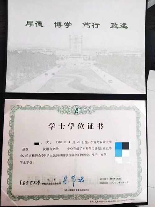 如何申請成人高考學士學位？ - 腿腿教學網