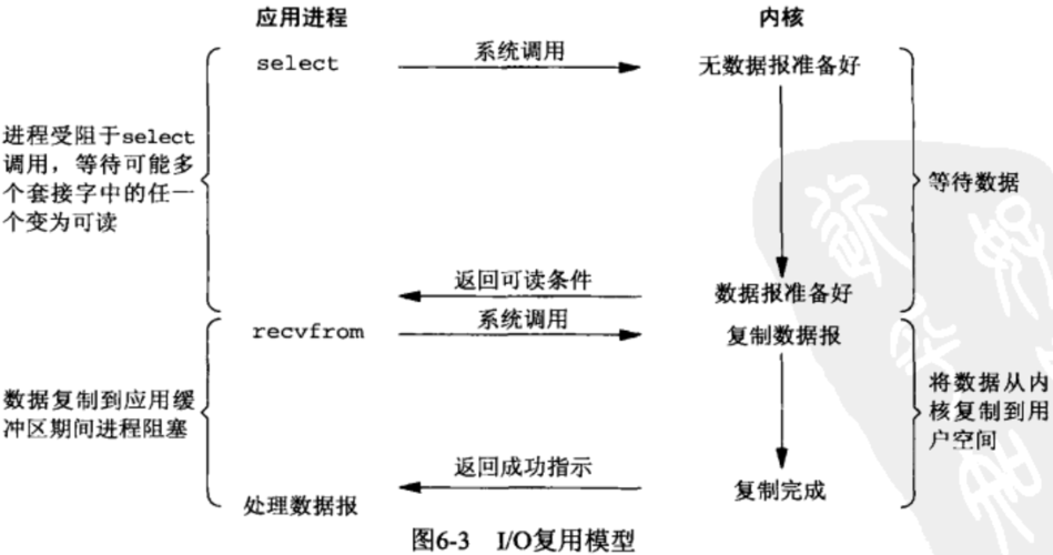 同步模型鏈接的Fuzor功能 - BIM,Reivt中文網