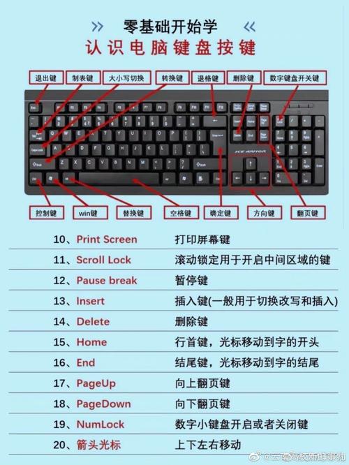 Forts鍵盤快捷方式 - BIM,Reivt中文網