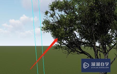 如何解決Lumion中導入模型消失，僅顯示后續樹木的問題？ - BIM,Reivt中文網