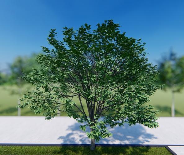 Lumion-10種現實樹木 - BIM,Reivt中文網