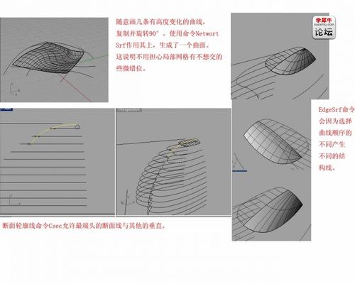 犀牛為什么不能成功沿曲面流動？ - BIM,Reivt中文網