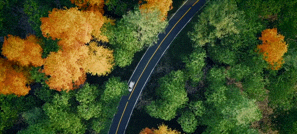 030102.gif